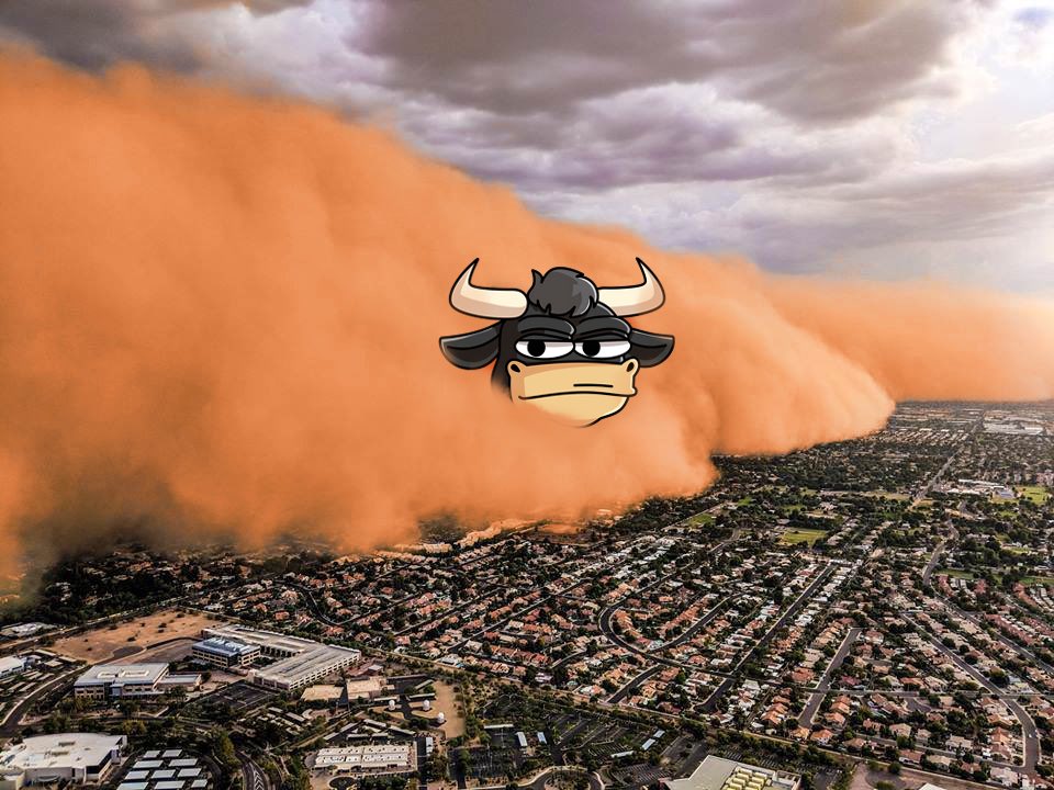 BullishTheBull's tweet photo. $BULLISH is about to take the bull run by storm https://t.co/7KYqcJK9oQ
