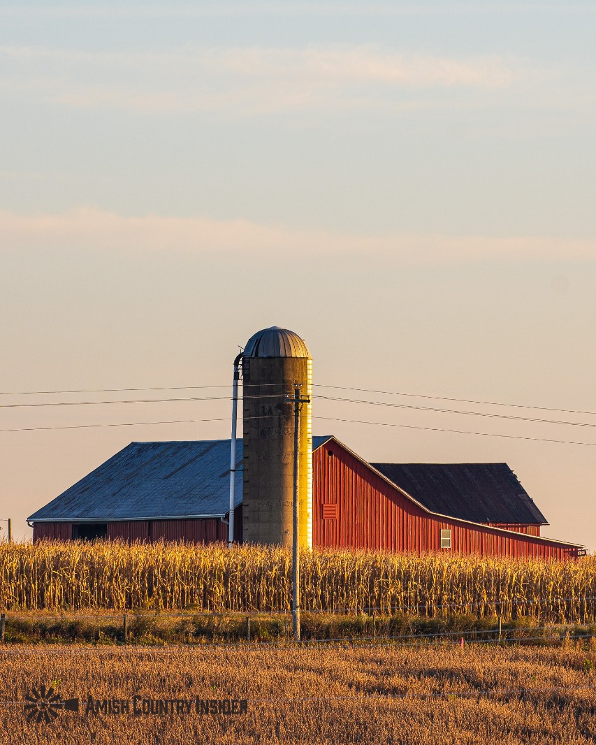 What is your favorite thing about Amish Country in the fall?
#amishcountryinsider #amishcountry #amish