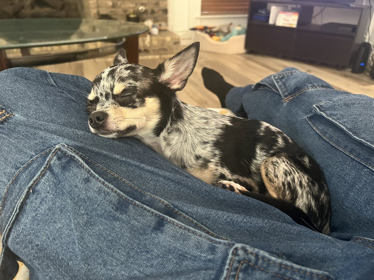 lucky girl .☘︎ ݁˖ tweet media