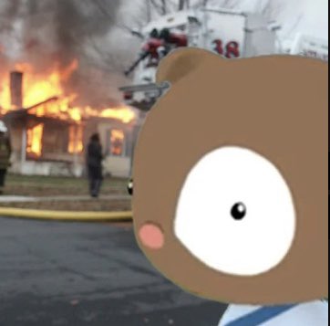 luffykun1995's tweet photo. @jeremybtc @mrpunkdoteth Dont fade.. @BitcoinBobonSOL 
Official and first BTC mascot, since 2010. https://t.co/zRQM43Ru4N