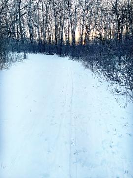 ❄️🌨️ Yesterday’s snowfall wasn’t just a dusting; it was the universe's way of saying, "Surprise! Winter called in sick yesterday but made a dramatic comeback!" 🌬️☃️ If you can’t find your car under that fluffy blanket—don’t worry, it's probably hibernating! 😂 #SnowPocalypse2023