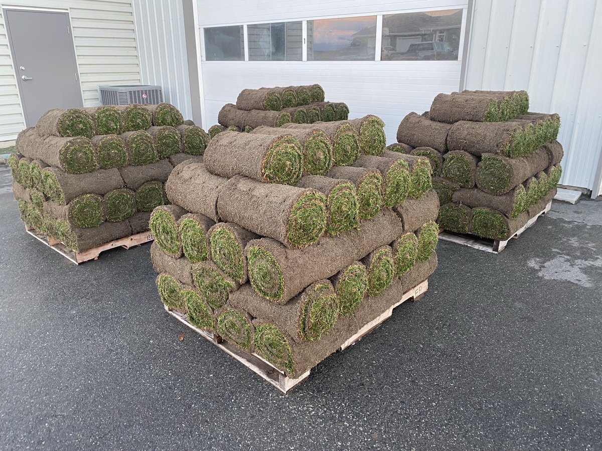 Bert Bos tweet media