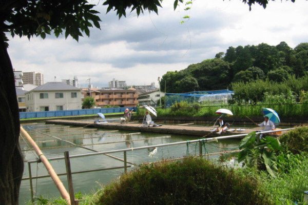 Tuyosi_Elderly's tweet photo. 阪本池の前は、通るけど、長い事顔も出してないな😭
師匠2人は、亡くなられたし、
他の方も亡くなられたやろうな😭阪本池の方も元気にしてるのかな?
#ツーリンググルメ #アマチュア無線 #バイク仲間募集中 #883L #横綱ラーメン #ヘラブナ #へらぶな #阪奈園 #阪本池 https://t.co/3S2KmIwF1p