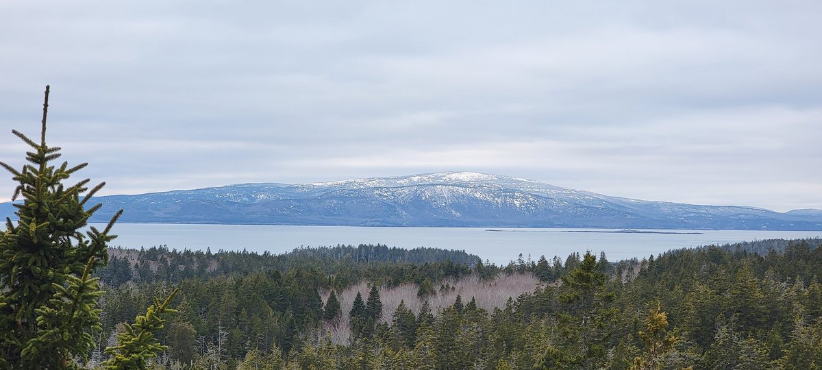GSn04401's tweet image. Today's #adventureday brought the whole gang back to Schoodic Point in Acadia for a hike through the forest up to Schoodic Head. Our new puppy friend Zeta is really getting the hang of hiking with us and our dogs just love her! (1/2) #getoutside #acadia #mainethings