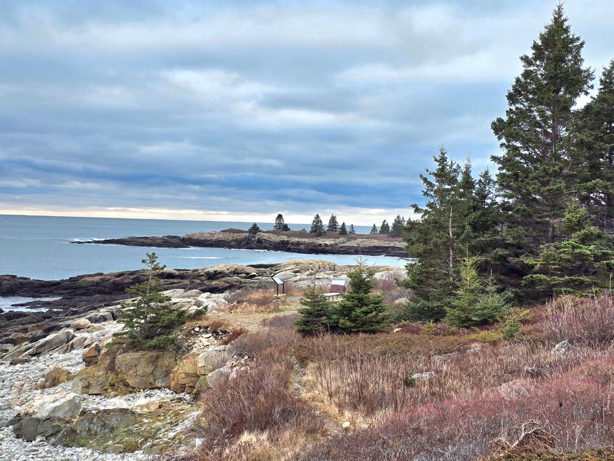 GSn04401's tweet image. Today's #adventureday brought the whole gang back to Schoodic Point in Acadia for a hike through the forest up to Schoodic Head. Our new puppy friend Zeta is really getting the hang of hiking with us and our dogs just love her! (1/2) #getoutside #acadia #mainethings