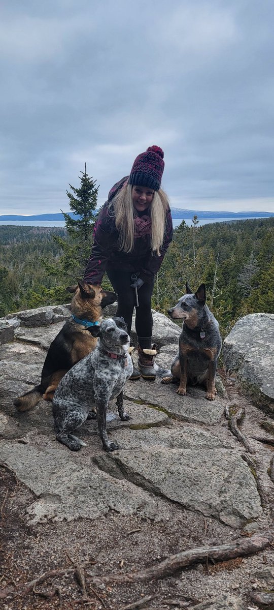 GSn04401's tweet image. Today's #adventureday brought the whole gang back to Schoodic Point in Acadia for a hike through the forest up to Schoodic Head. Our new puppy friend Zeta is really getting the hang of hiking with us and our dogs just love her! (1/2) #getoutside #acadia #mainethings