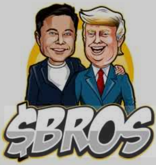 "$BROS isn’t just a crypto, it’s a brotherhood. Trump says, ‘No one builds better communities than $BROS, believe me.’ Elon adds, ‘$BROS to the moon? Nah, Mars is the vibe. Bros stick together, even in zero gravity.’ 🚀🤝 #CryptoBROS #Web3Fam #HODLBros $BROS "