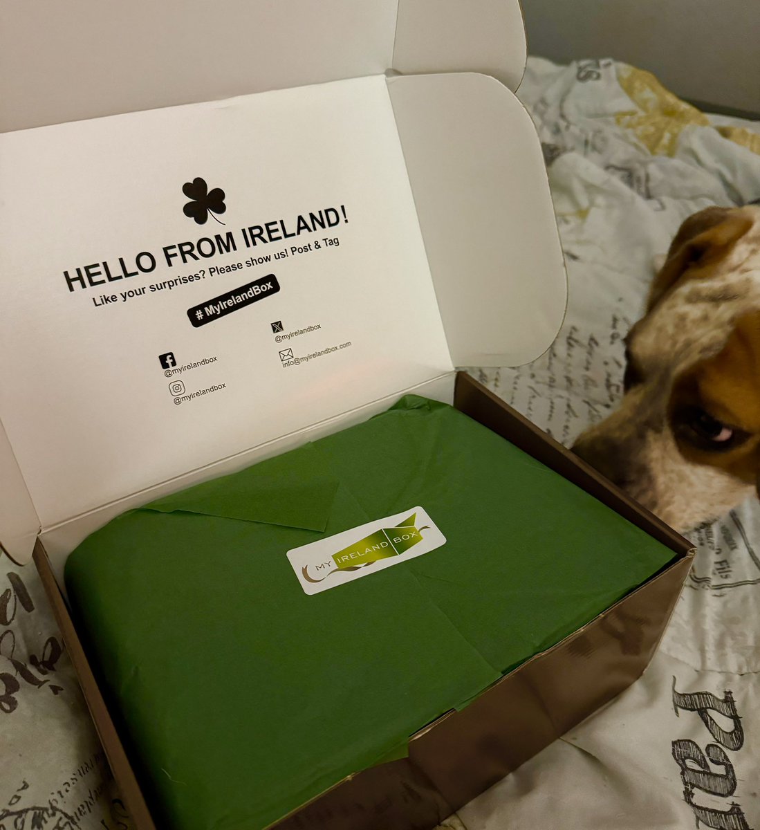 MysticPaPatriot's tweet photo. My favorite day of the month is here!!!!!!! Look what was waiting for me when I got home!!!! Clover Fiadh is excited too! @MyIrelandBox ๐ญ๐ฎ๐ชโ๏ธ๐ฅฐ#soexcited #itdoesnttakemuch https://t.co/yRFNNmUbBL