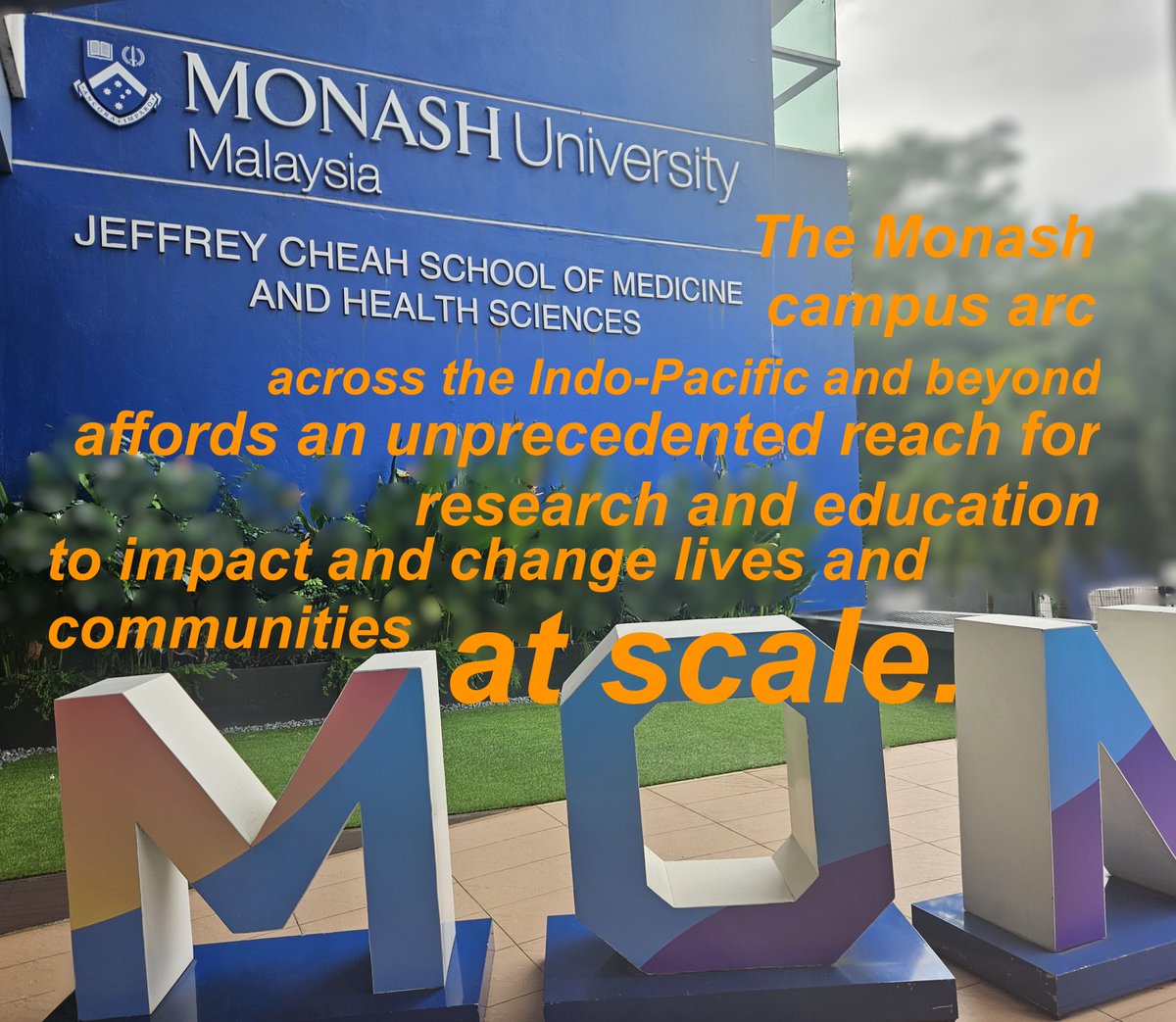 Rosalind De Sailly tweet media