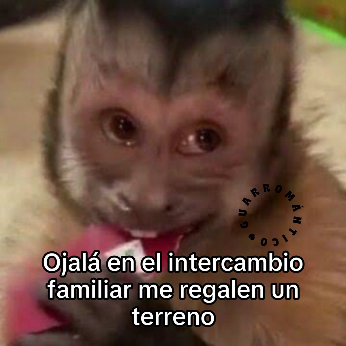 Guarromantico_'s tweet photo. Ojalá. https://t.co/0Yfrp07oiP