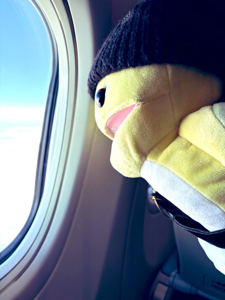 Y_1418_A's tweet photo. ✈️𓈒𓂂𓏸☁️🗻☁️::::::::::::::::::✈
ミ(/・・)/ｽﾁｬｯ https://t.co/AzkkDErNft