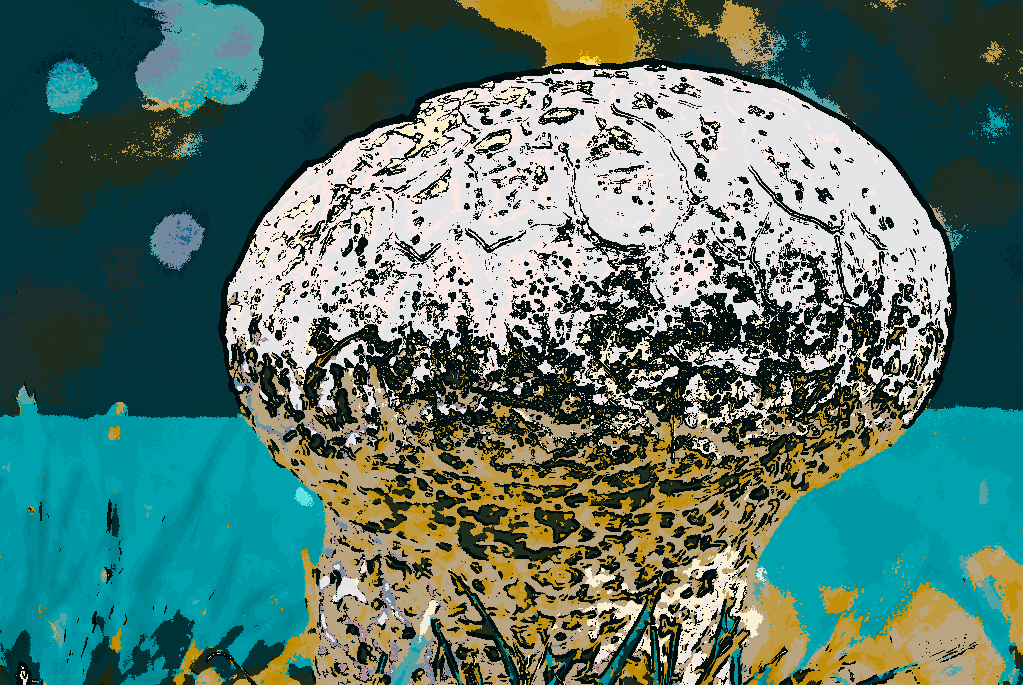 paulvangian's tweet photo. Ethereal Botanica - Sublime Foliage #5
#NFT #NFTArt #NFTCommunity #CryptoArt #GenerativeNFT #DigitalArt #NFTCollector #PolygonNFT #デジタルアート #イラスト #アート #NFTアート #クリエイター #デジタルイラスト #アート好きな人と繋がりたい #アートワーク #NFTコレクション https://t.co/A9gYvTJirT
