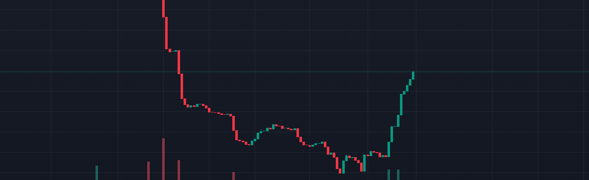 WE'RE COMMING BACK $BROS!
$BROS 4 LIFE