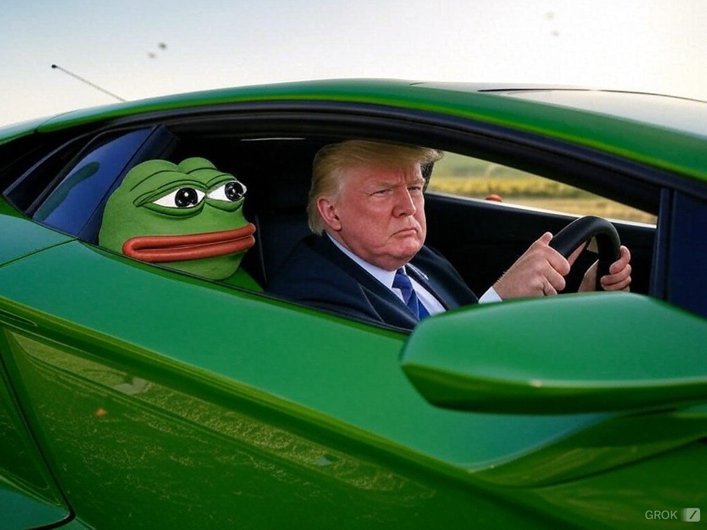 y00thereum's tweet image. Get in losers. $PEPE 🐸💹