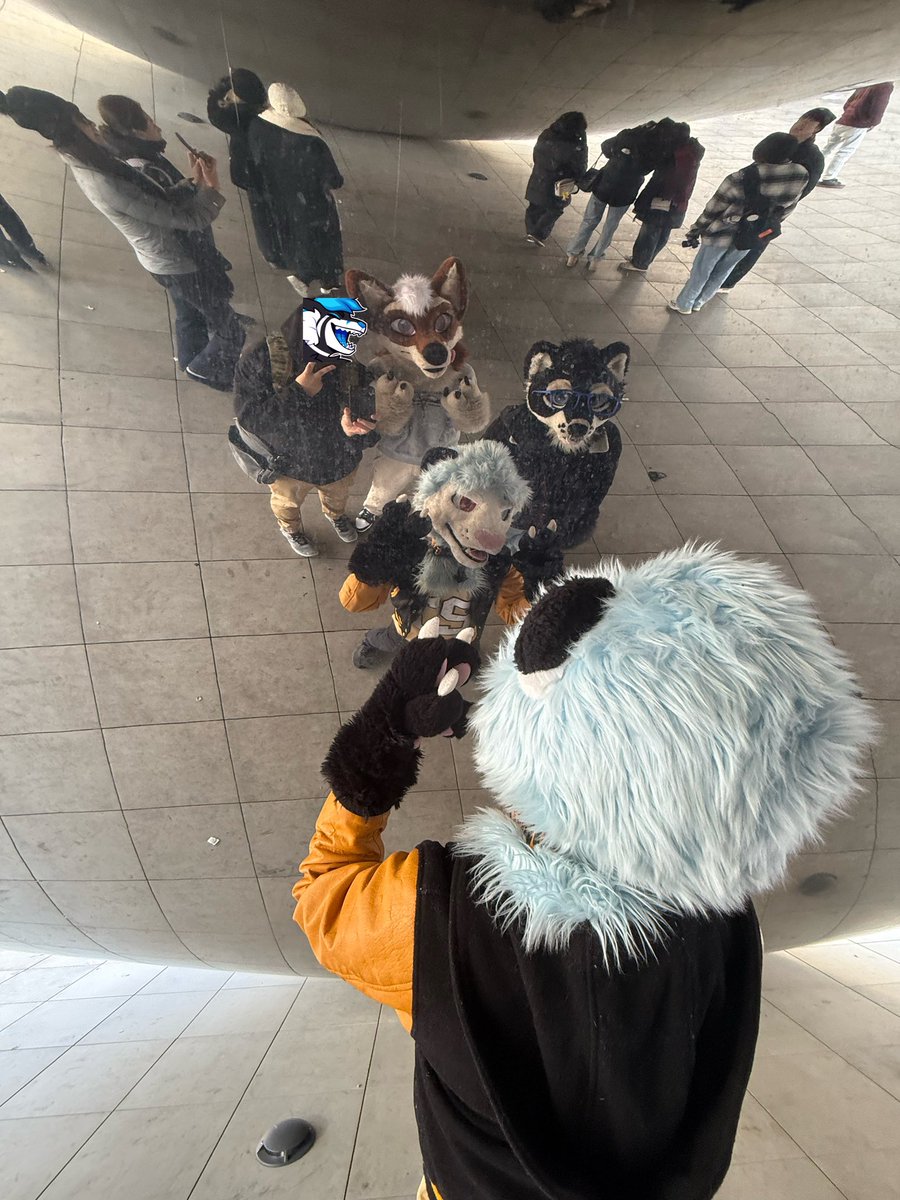 Azami_Foxxo's tweet photo. Was fun to be back for MFF had lots of fun and saw a bunch of friends. Wouldn’t be here if it wasn’t for my boys, thank you homies 💙 https://t.co/CmKB9CCi2C