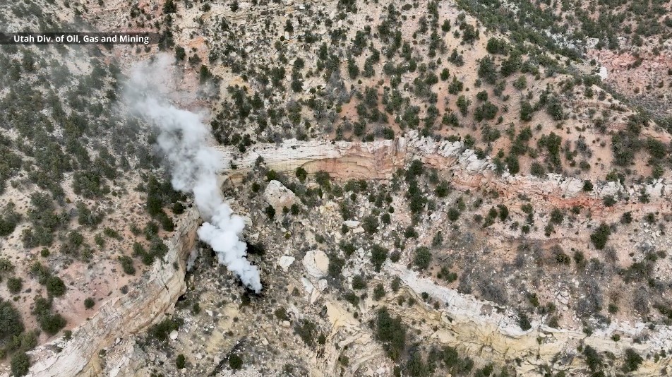 𝐁𝐫𝐢𝐚𝐧 𝐒𝐜𝐡𝐧𝐞𝐞 tweet media