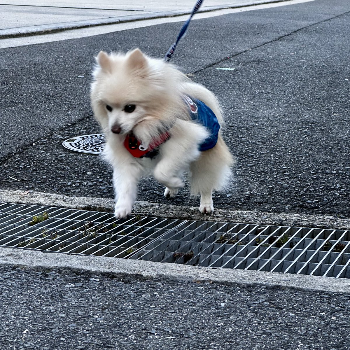tsujiseitai's tweet photo. ブログを更新しました。

■患者様の声

頭痛と自律神経のツボを紹介します

https://t.co/QcXFNeQzOC

■予約専用電話

072-805-0081

■24時間ネット予約

https://t.co/VO9cHKQ4fT

#つじ整体院

#枚方市

#頭痛 https://t.co/IMAEl9wlXm