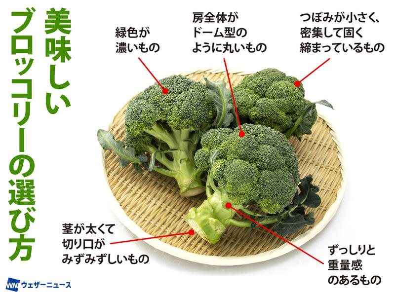 ブロッコリー(出品予定はプロフの下の方) 新鮮なブロッコリーの見分け方＞ 今がまさに旬を迎えている