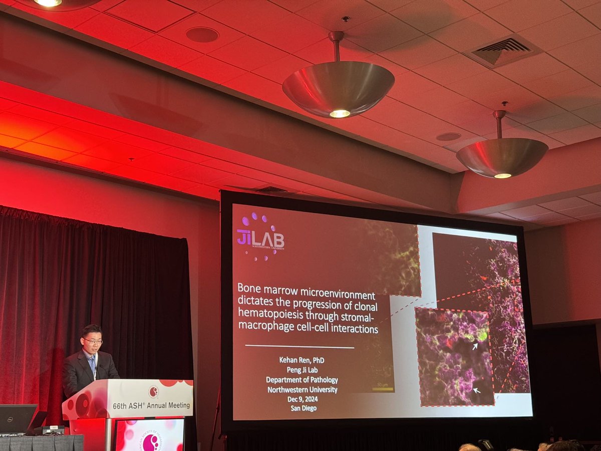 Kehan_Ren_PhD's tweet photo. Thank you all for attending my talk! It was an incredible session filled with groundbreaking advancements in the bone marrow microenvironment. I’m truly honored to have been part of this. https://t.co/Y7bPOAxuj7