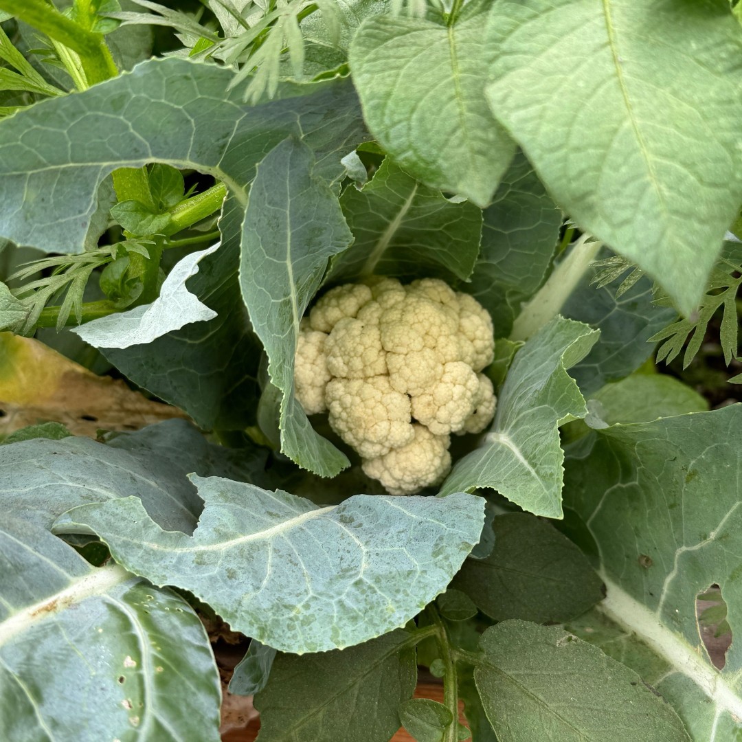 Ground Education tweet media