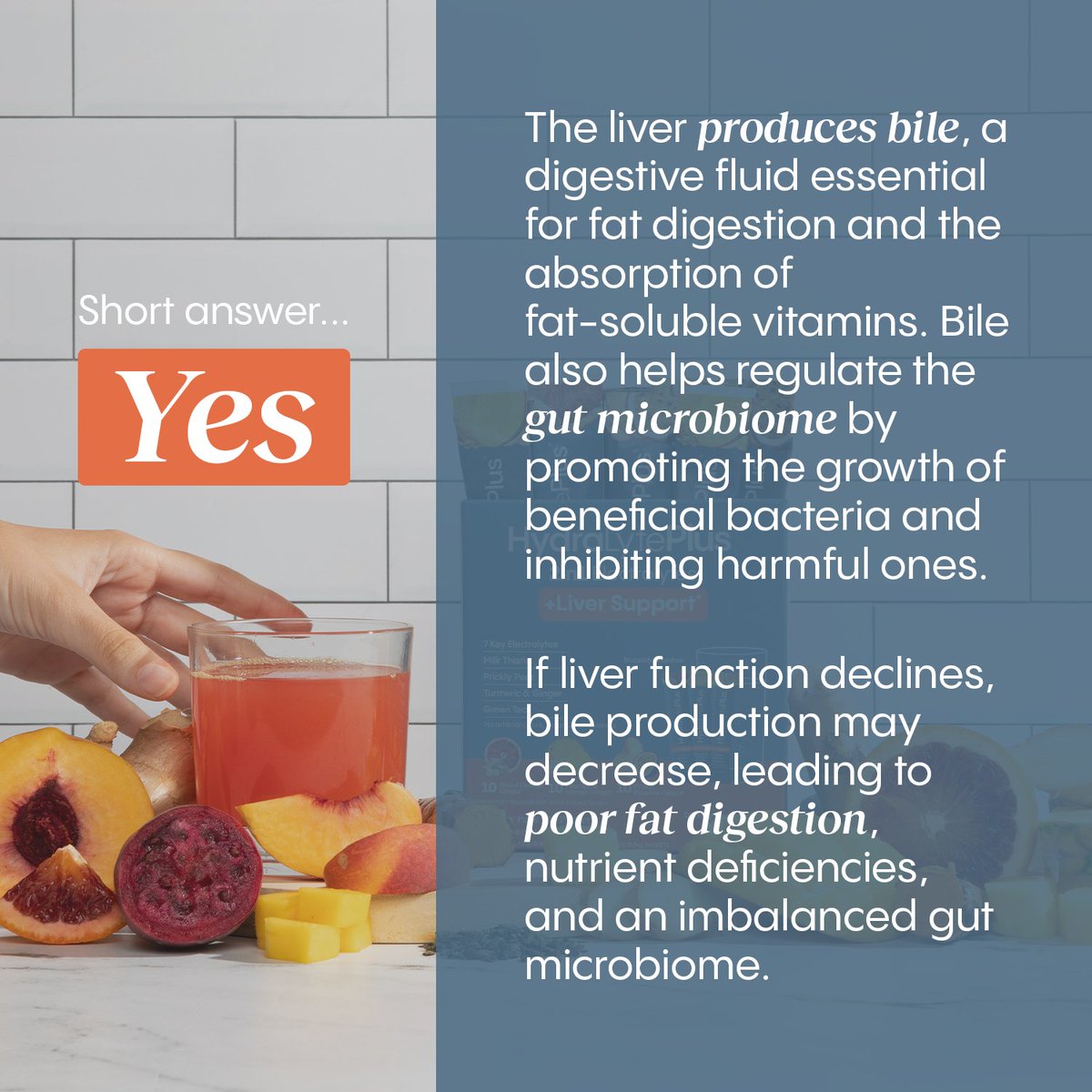 Want to learn how to keep your liver and gut happy? Head to our blog for the full scoop from Dr. Natasha Macleay: bit.ly/why-your-gut-h…