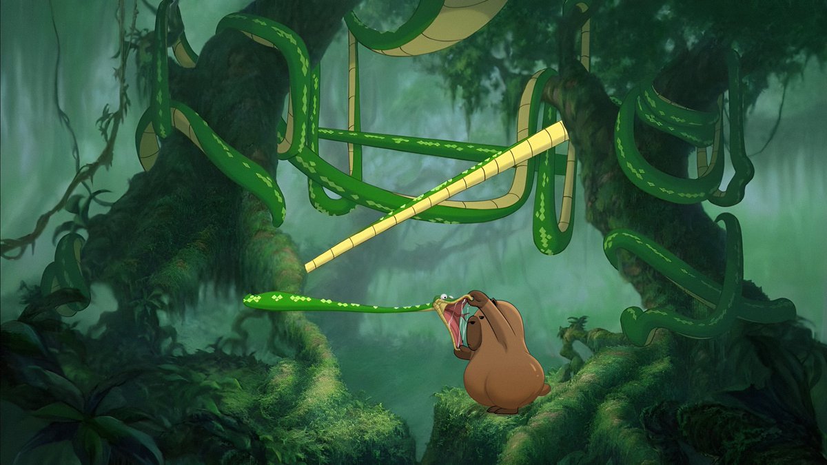 kappybruh's tweet image. When everyone's freaking about the bear market but I’m just vibing... literally couldn't care less. Snake's gonna snake, market's gonna drop, and I'm still here

$Kappy #Kappy #unbothered