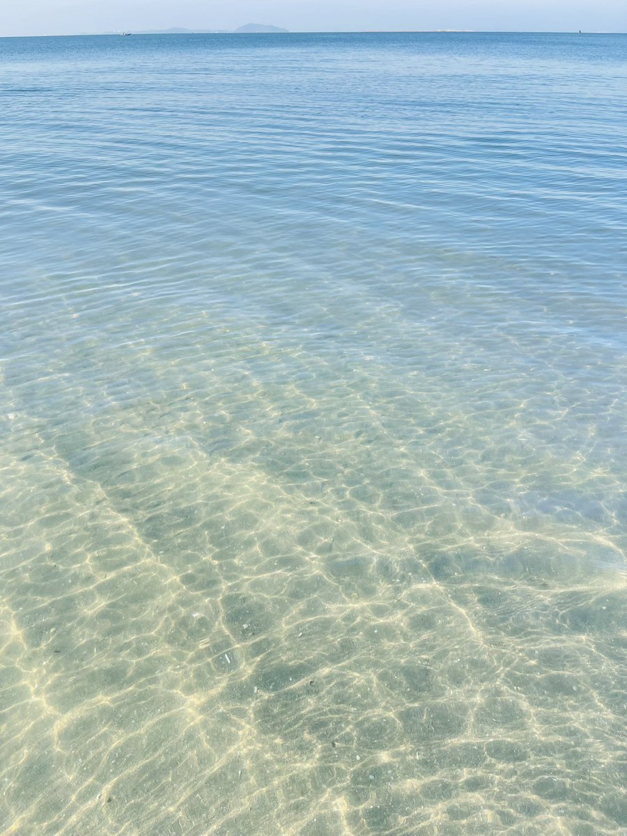 ปะป๊าหมีๆ ไบรุก ลับๆ มีเมีย tweet media