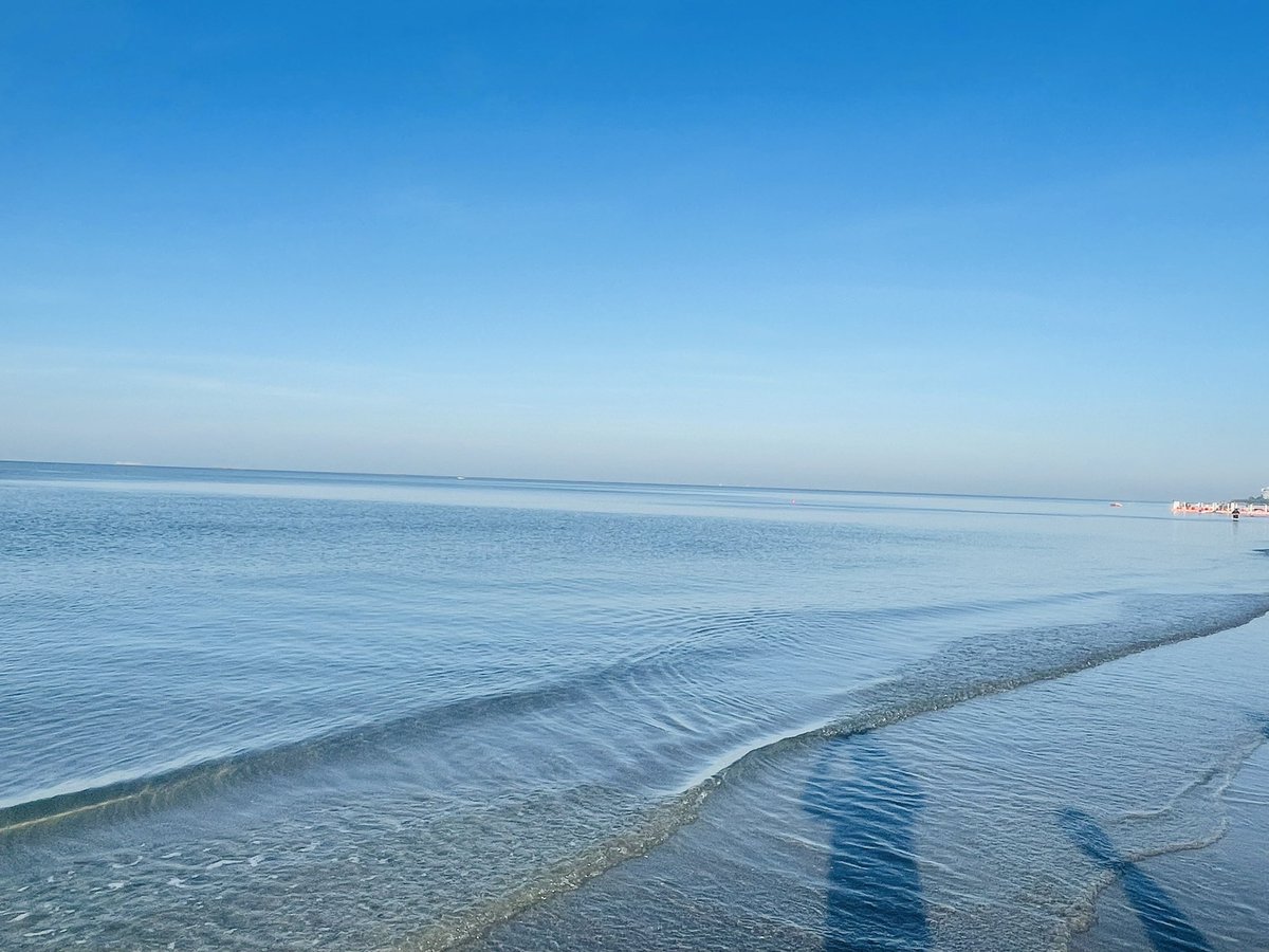 ปะป๊าหมีๆ ไบรุก ลับๆ มีเมีย tweet media