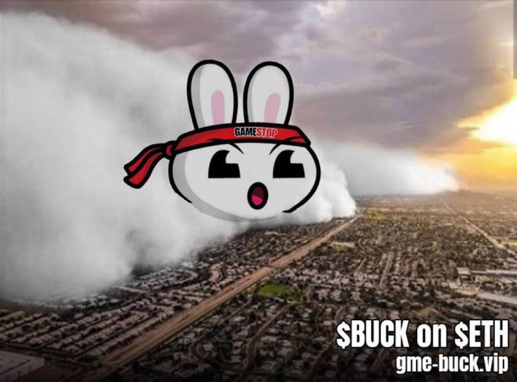 Taj510_'s tweet photo. @Davincij15 $BUCK ON ETH Is Ready To FLYYYY!!

Let’s Make It The Biggest GME Token!

Don’t Miss Out On GME’s MASCOT @gme_buck

CA - 0x5de5Aca787818a2d485E278727cE575D54FedbE4

TG - https://t.co/5HIjSWav0f

#GMEMASCOT #GME #BUCK #GMEBUCK https://t.co/EYlI8nX5MA