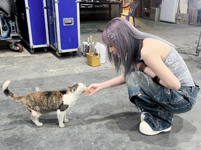 from one kitty to another 🤍