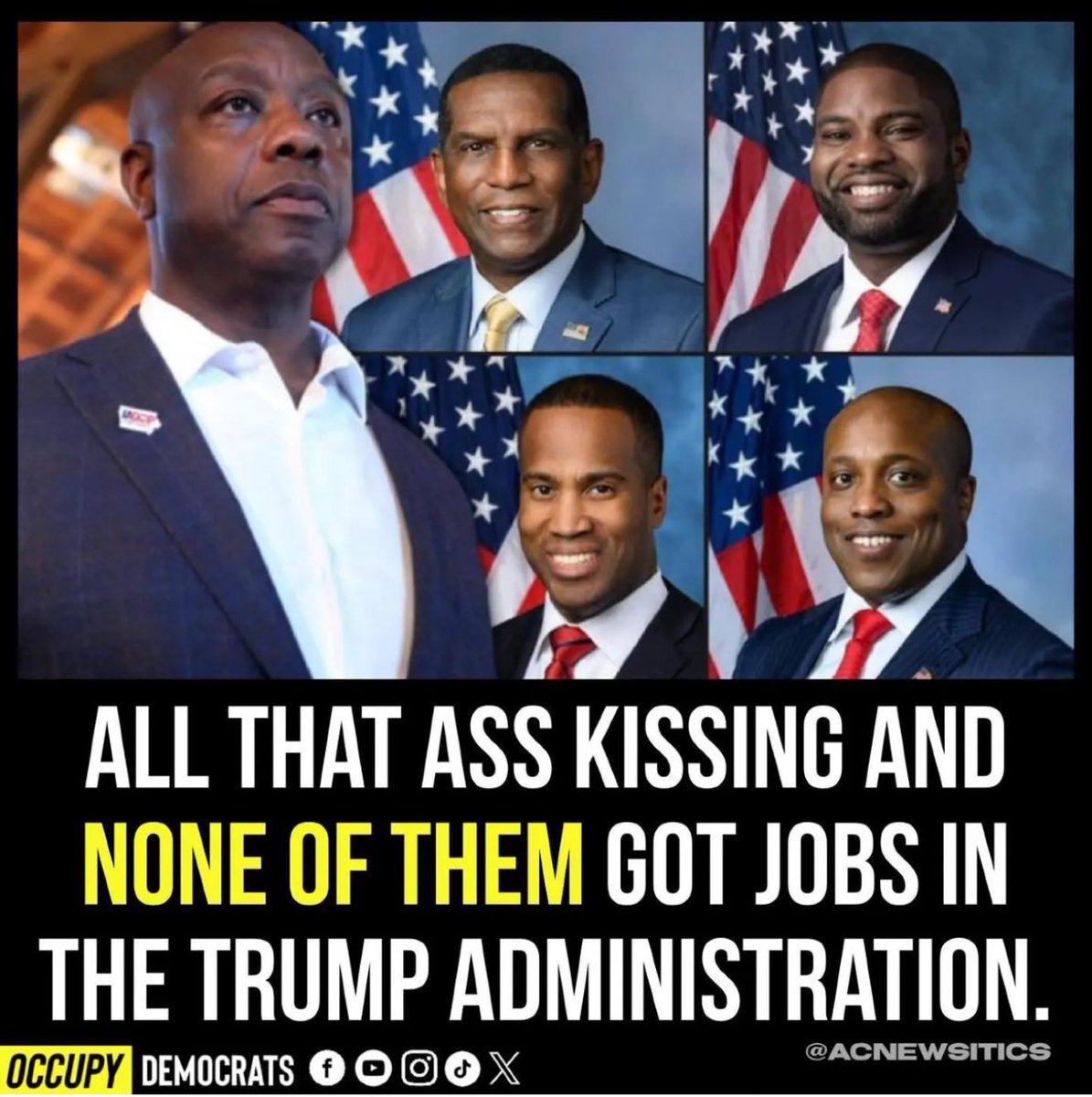 Occupy Democrats tweet media