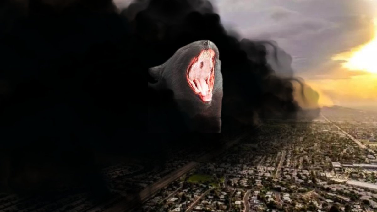 AAAAAAAAAAAAAAAAAAAAAAAAAA