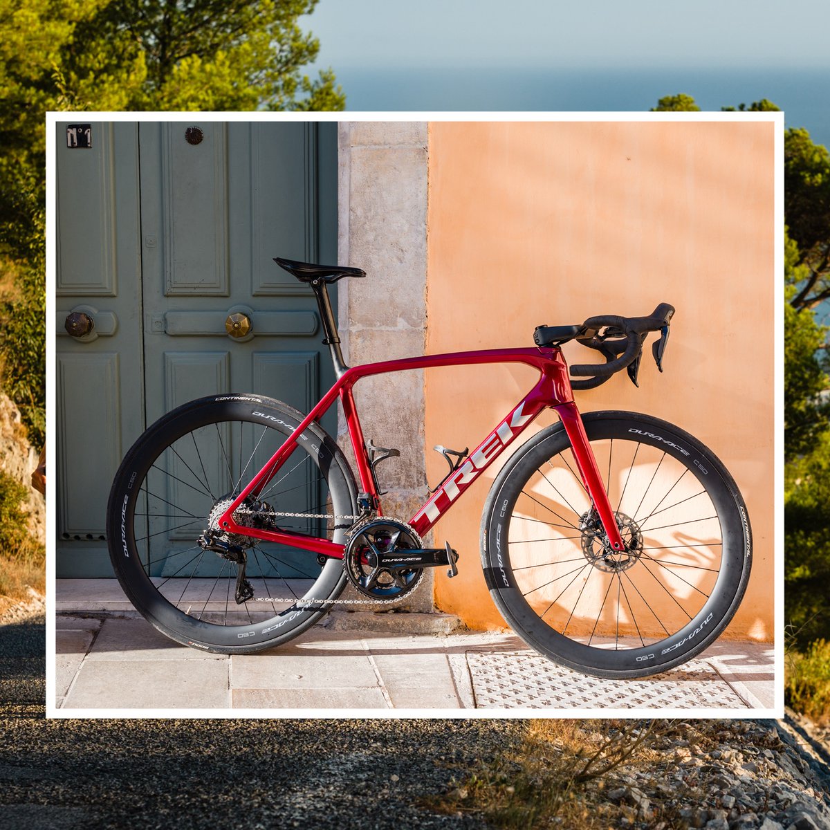 RideShimano's tweet image. Planning to escape someplace warm this winter? Don't forget to bring your bike. What's your favorite winter getaway? 🏝️