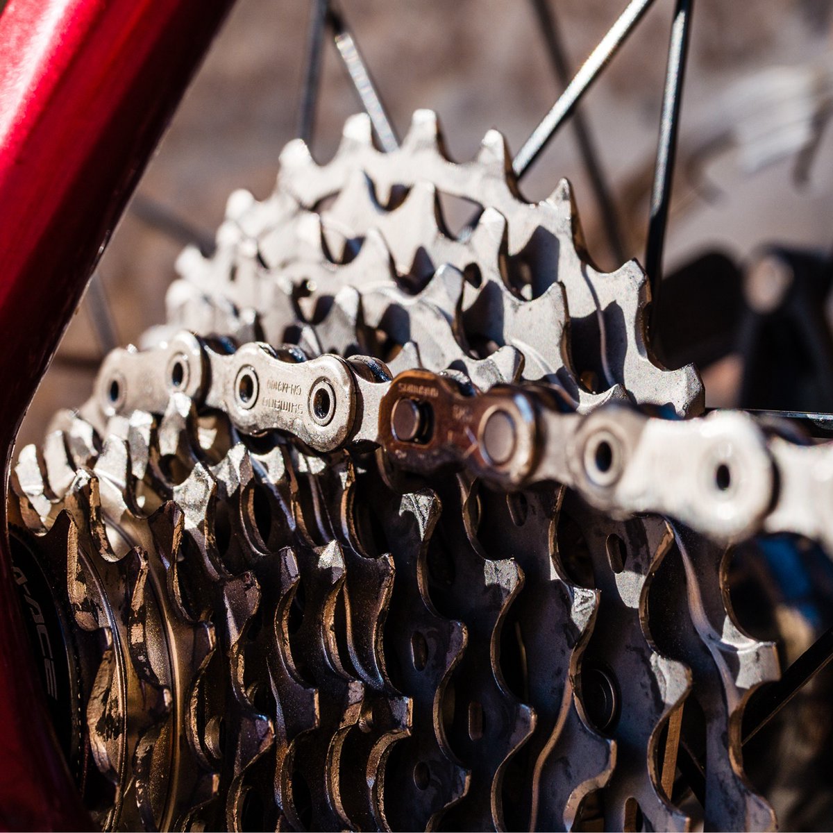 RideShimano's tweet image. Planning to escape someplace warm this winter? Don't forget to bring your bike. What's your favorite winter getaway? 🏝️