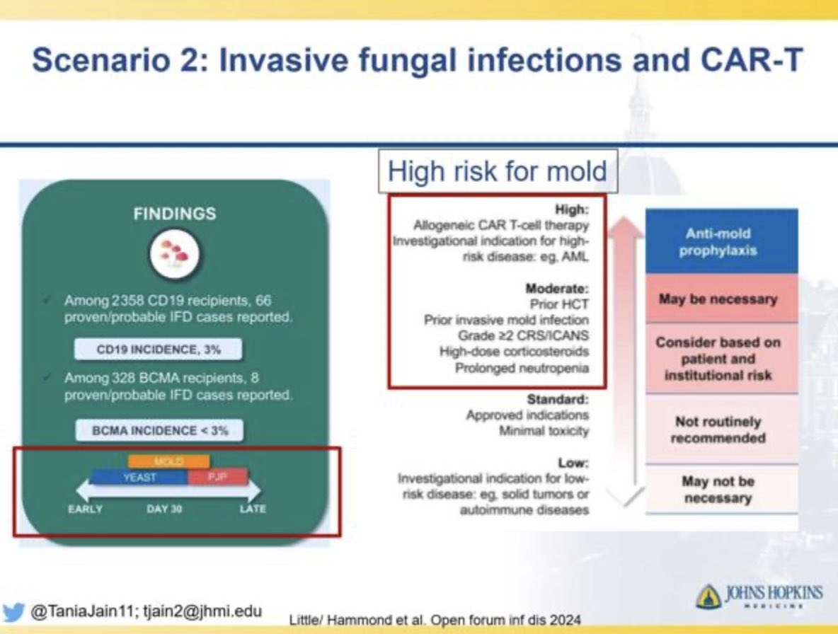 Razan_Mohty's tweet photo. Great interactive session on infection prevention after #CARTRx by Dr @TaniaJain11
#ASH24 #ASH24rm @ASH_hematology https://t.co/XGlpAgT68Z