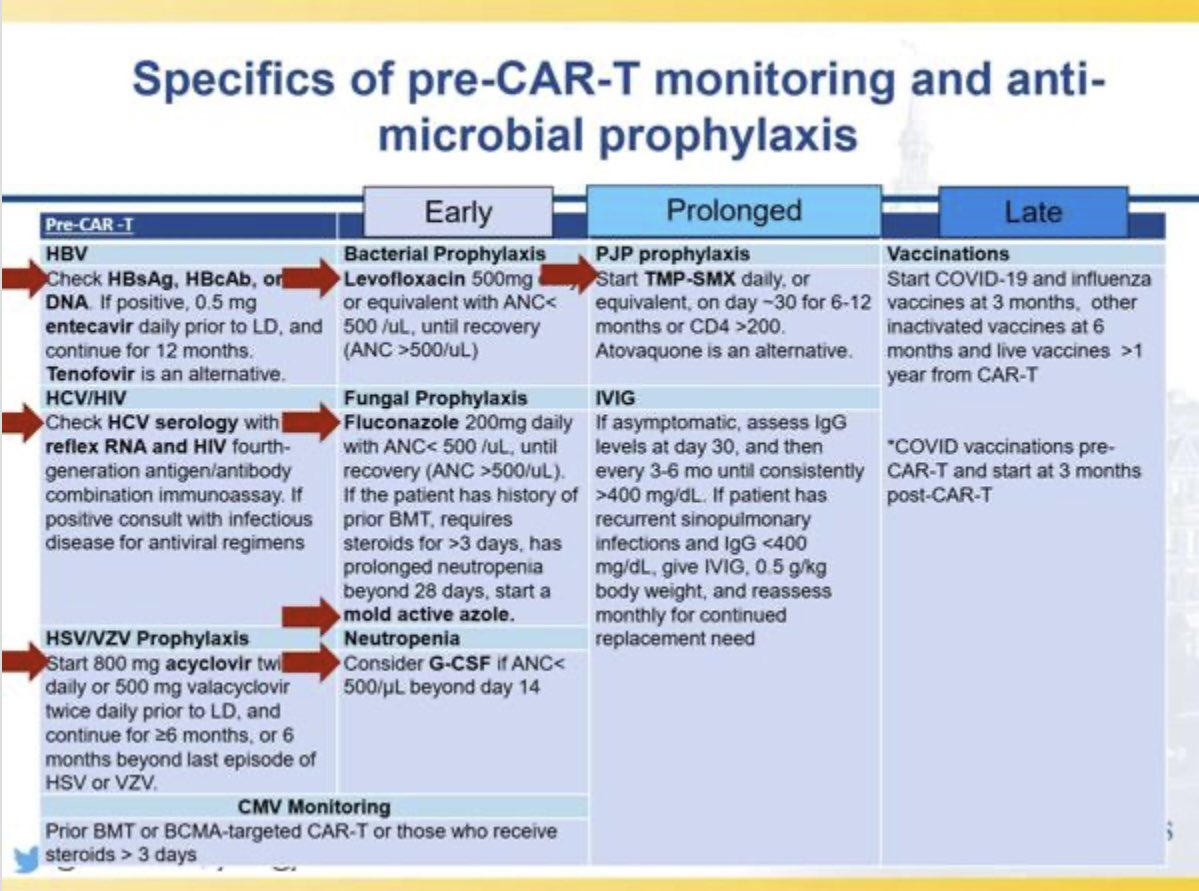 Razan_Mohty's tweet photo. Great interactive session on infection prevention after #CARTRx by Dr @TaniaJain11
#ASH24 #ASH24rm @ASH_hematology https://t.co/XGlpAgT68Z