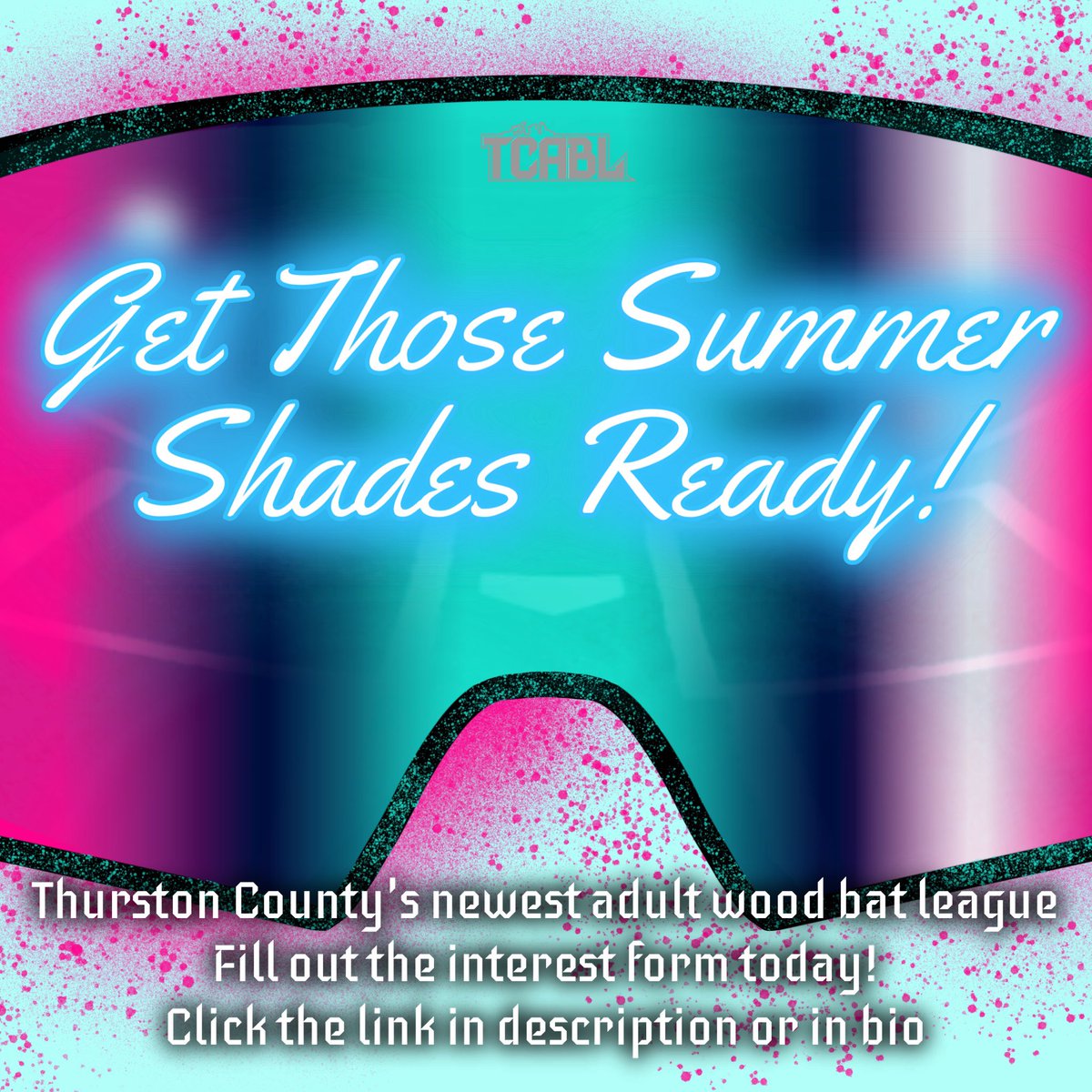 Thurston County Adult Baseball League tweet media