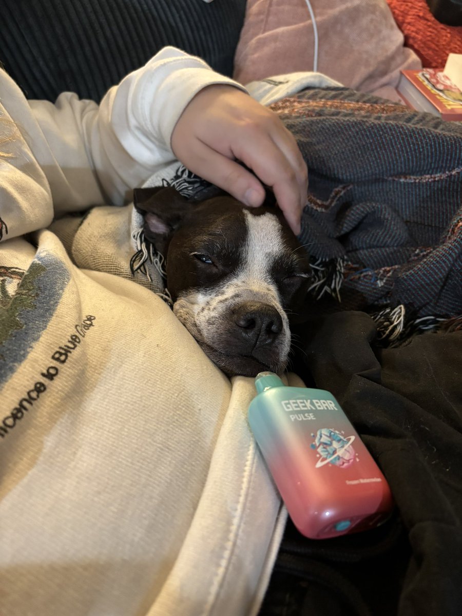 deathnurse tweet media