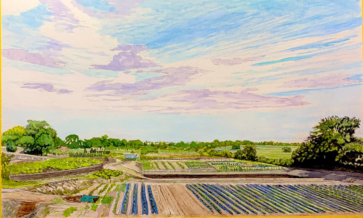 painter_ojifu's tweet photo. Yokohama field

国際花博とテーマパーク開発のため無くなってしまう風景

#絵画 #イラスト #アート #art #field #artgallery #art_is_time #geijutunowa #田園風景 #上瀬谷通信帯 #国際花博 #テーマパーク

Watercolor gouache https://t.co/J5xg25BgqV