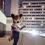 Photo by Name cannot be blank (@theBattercake)