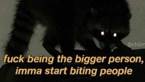 milkstrology's tweet photo. 🧨🥂 capricorn risings: 2025 new year moodboard horoscope 🥂🧨 https://t.co/sfjrhhseXl