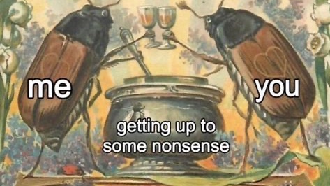 milkstrology's tweet photo. 🧨🥂 capricorn risings: 2025 new year moodboard horoscope 🥂🧨 https://t.co/sfjrhhseXl