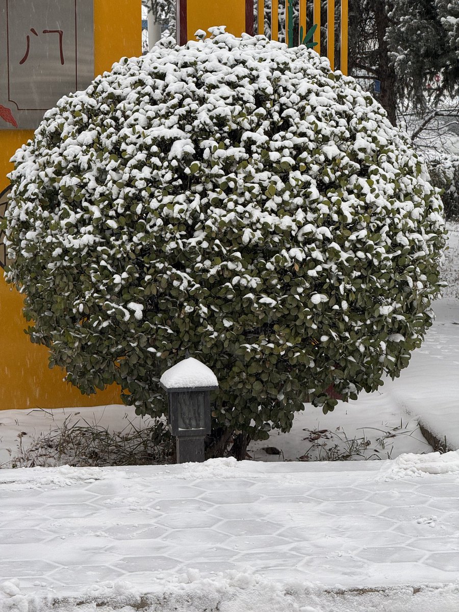 determinaew's tweet photo. 下雪了 #兰州 #雪 https://t.co/iZr2ZdsFgT