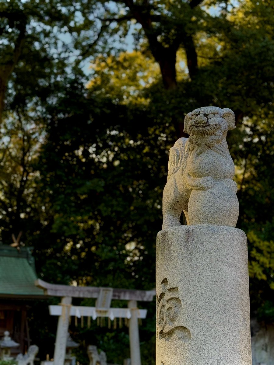 d0107ug's tweet photo. #一宮神社
#吽
#神社 https://t.co/an2F0ZIlkE