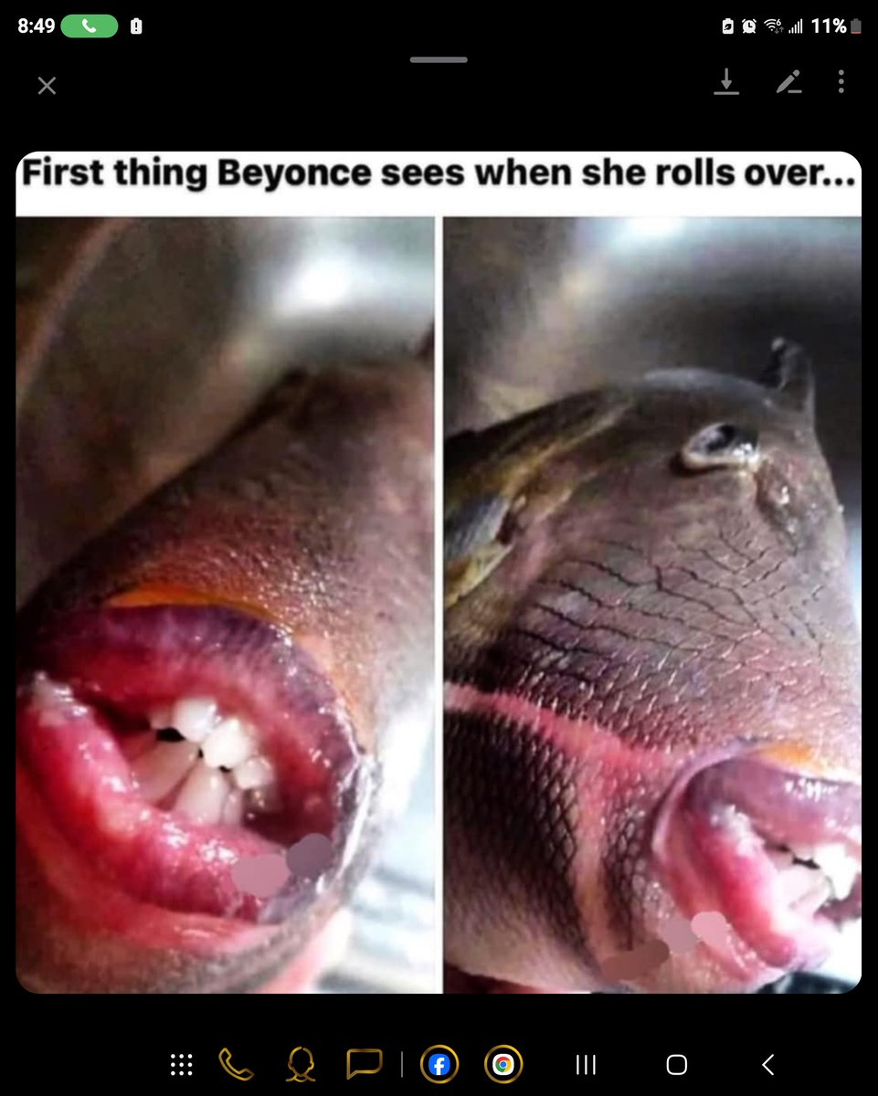 Prince_Redd7's tweet photo. @Beyonce I love you Bey but this tickled the fuck outta me!! https://t.co/xTz8yyMBHK
