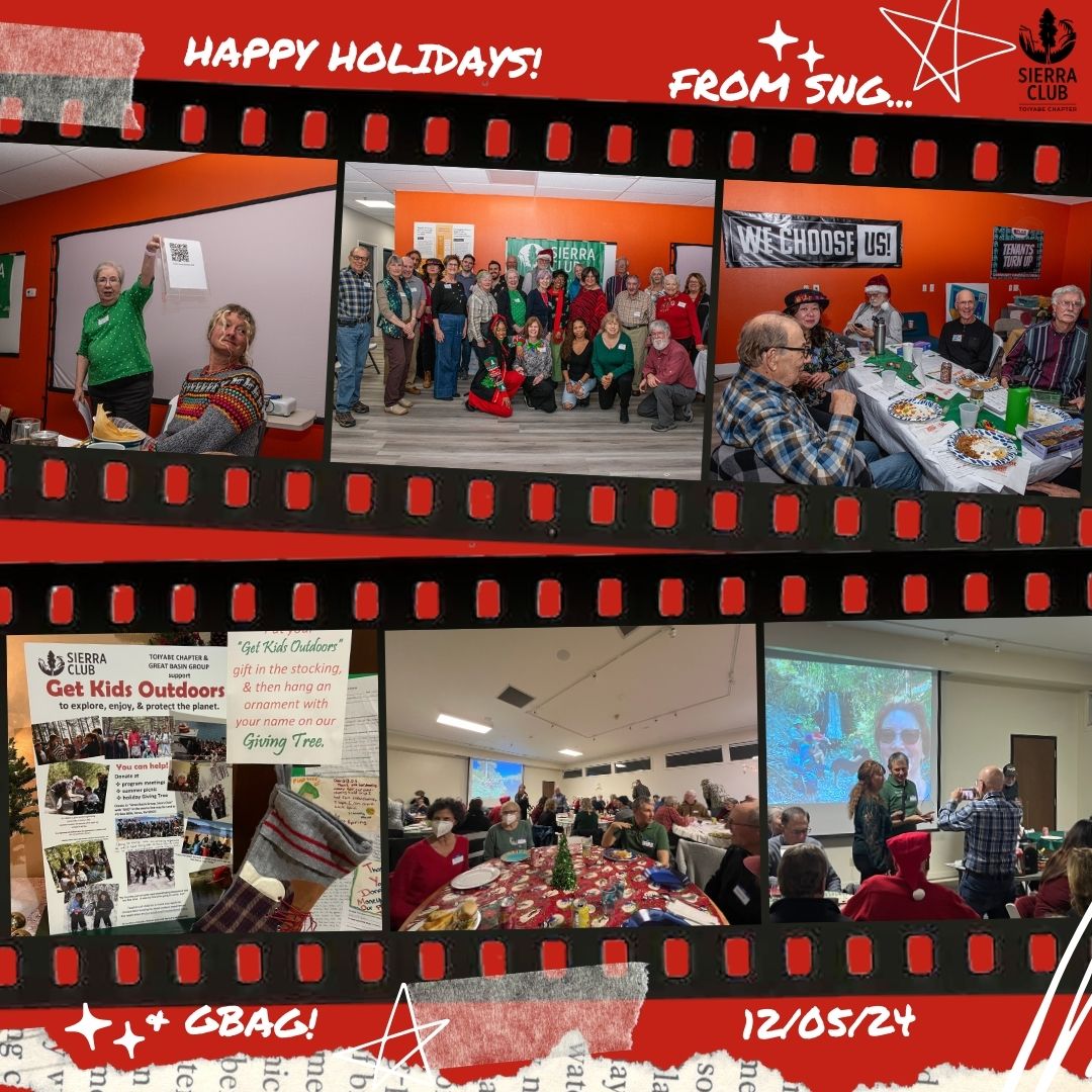 SCToiyabe's tweet photo. 🎉 A festive celebration of progress and passion! The Sierra Club Toiyabe Chapter's Southern NV & Great Basin Area Groups threw an epic holiday party to celebrate 2024 and prepare for an even stronger 2025! 🌱💚 #SierraClub #HolidayCheers #ConservationCommunity https://t.co/wVcY4V4gfi