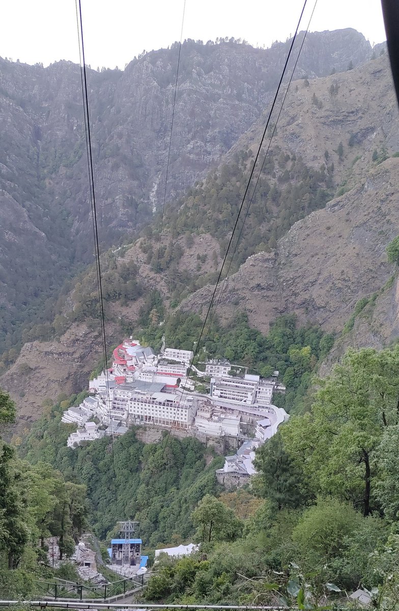 Krishna Singh tweet media