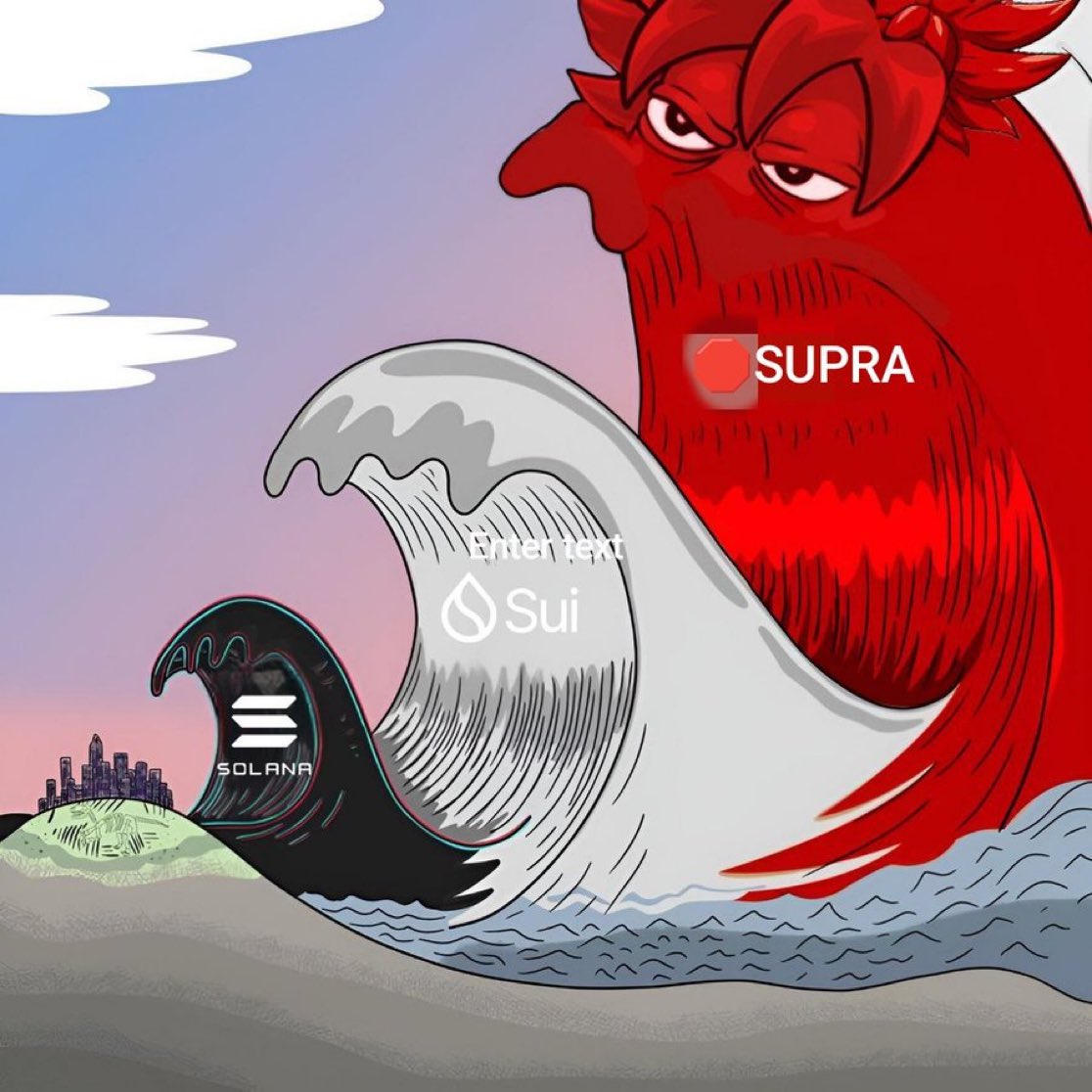 cryptogangster_'s tweet photo. $SUPRA > $SUI > $SOLANA https://t.co/UgAcploDHF
