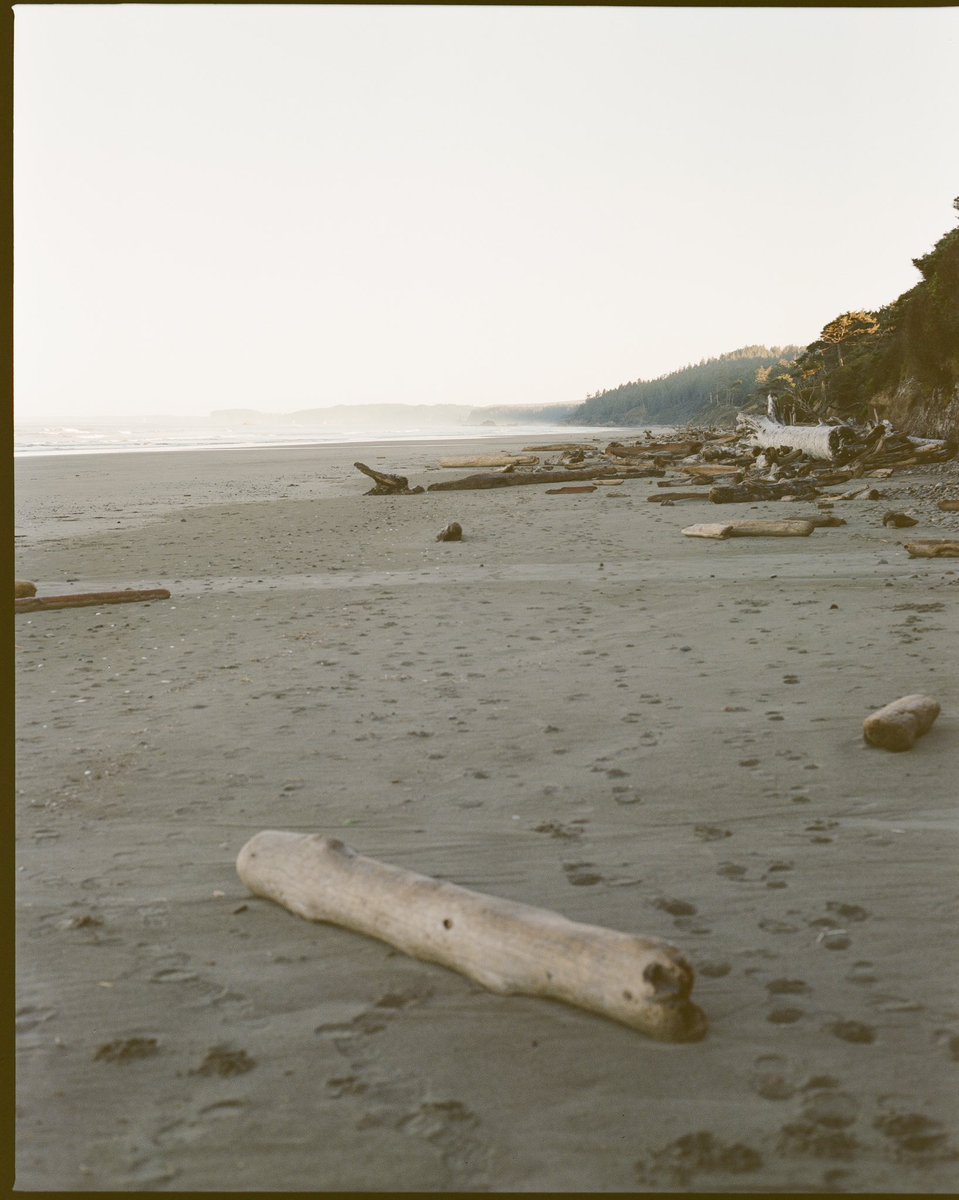 The Light The Heat tweet media