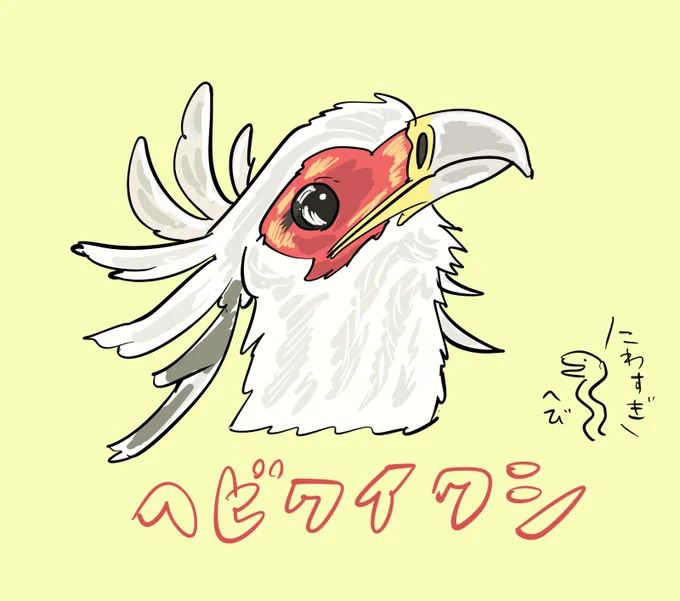 #今日のいきものヘビクイワシヘビク・イワシじゃないよ 